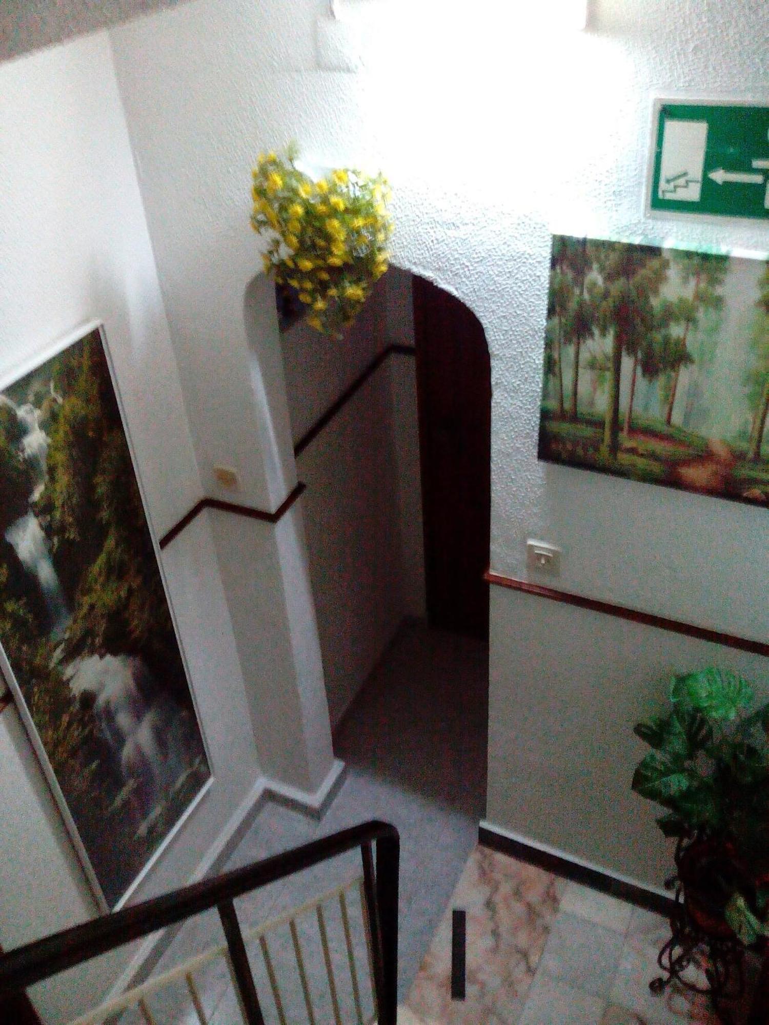 Residencia Matos Pereira Pensjonat *